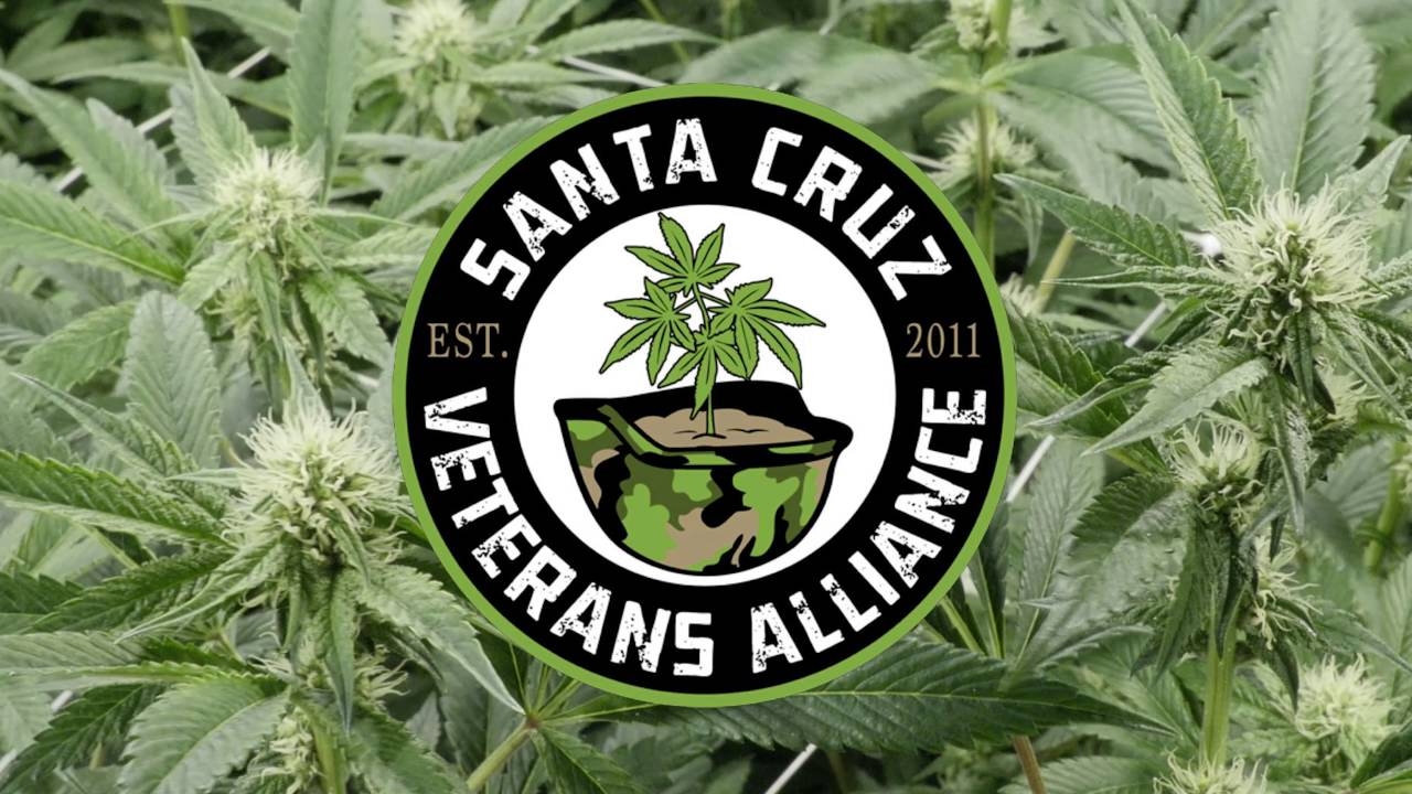 Many Cannabis Brands Are Busy Supporting Veterans