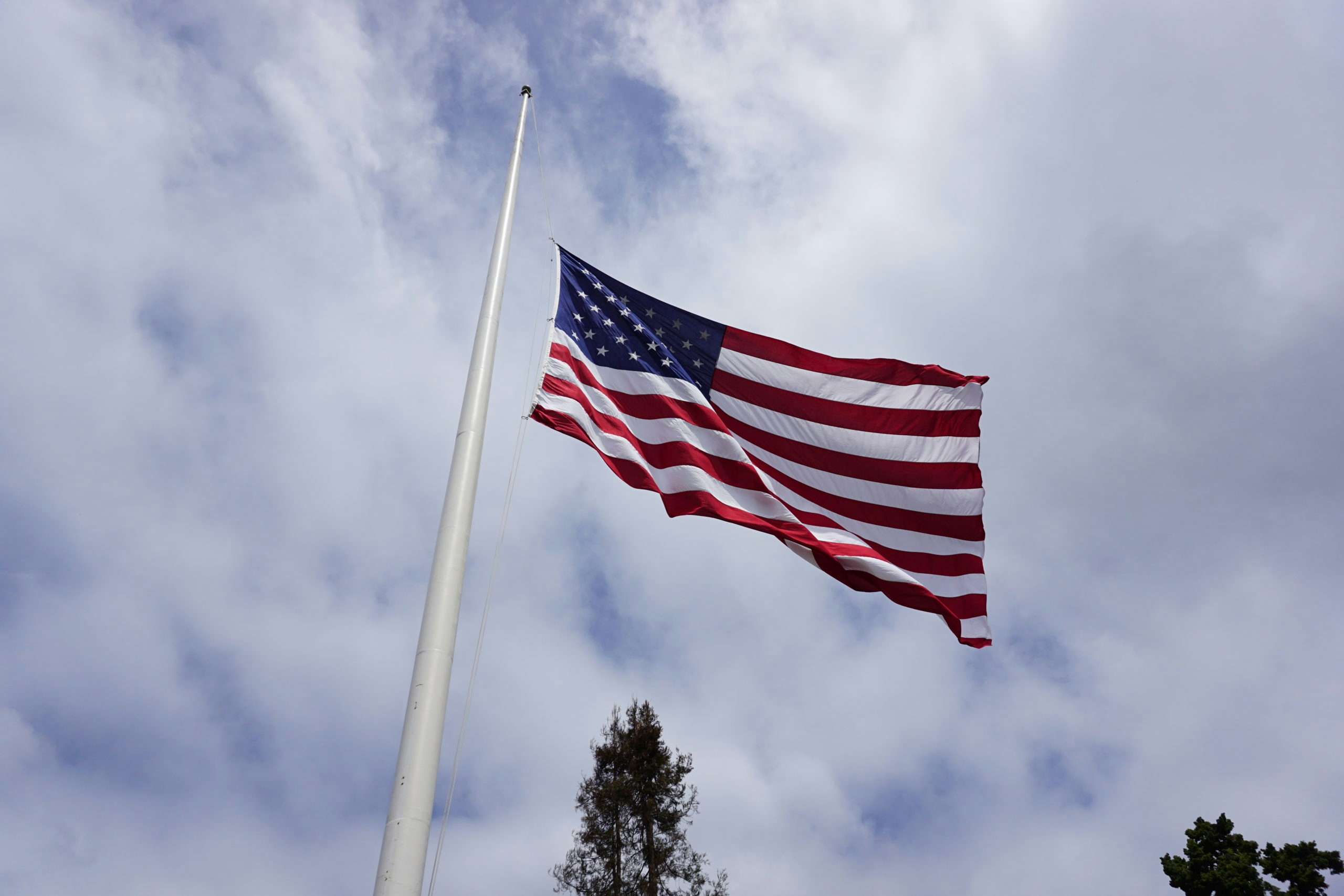 Many Cannabis Brands Are Busy Supporting Veterans