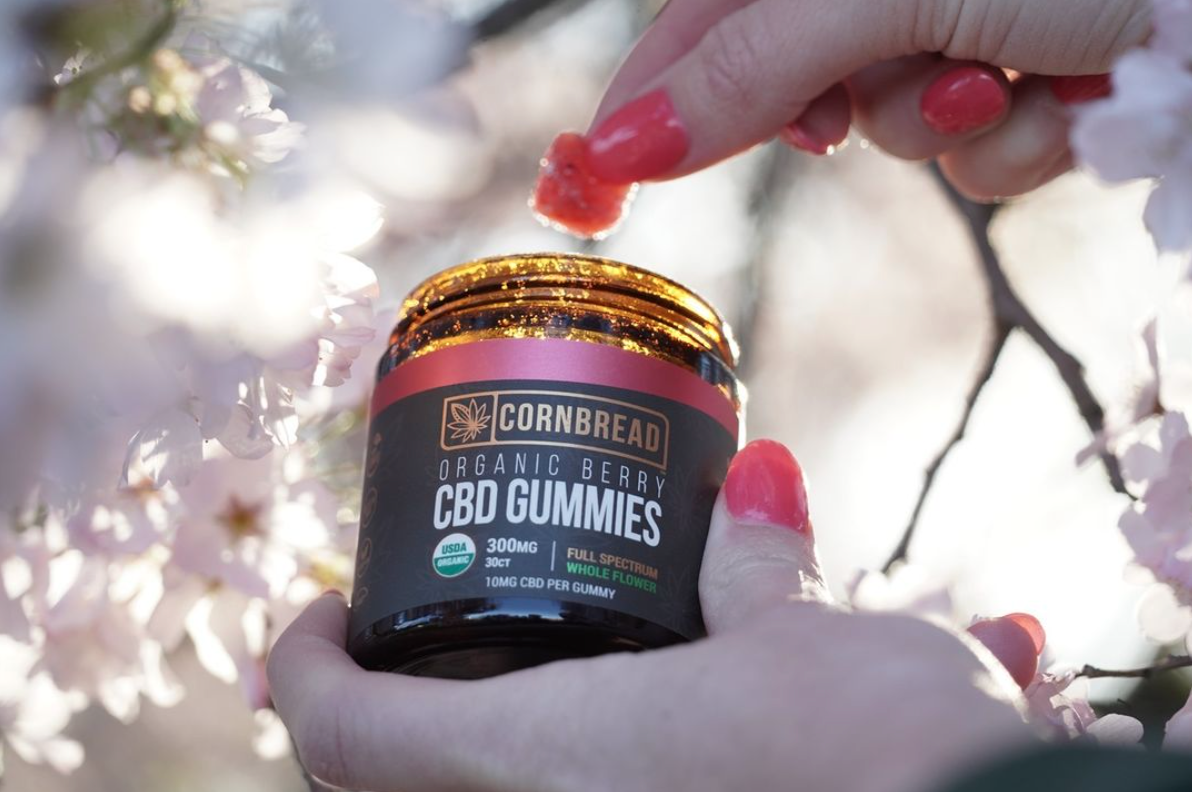 Organic CBD Gummies: Why They’re Better Than Regular Gummies