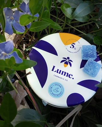 Herb’s Guide To The Best Edibles In Detroit