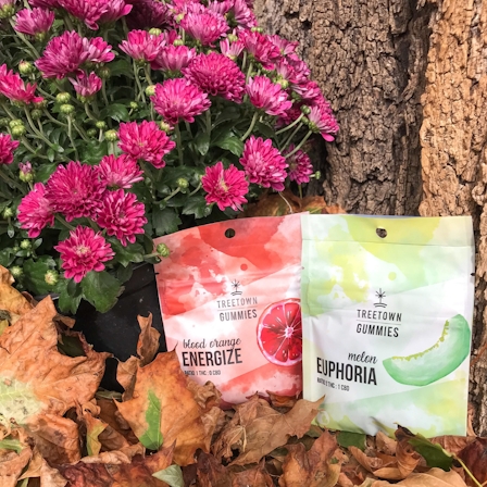 Herb’s Guide To The Best Edibles In Detroit