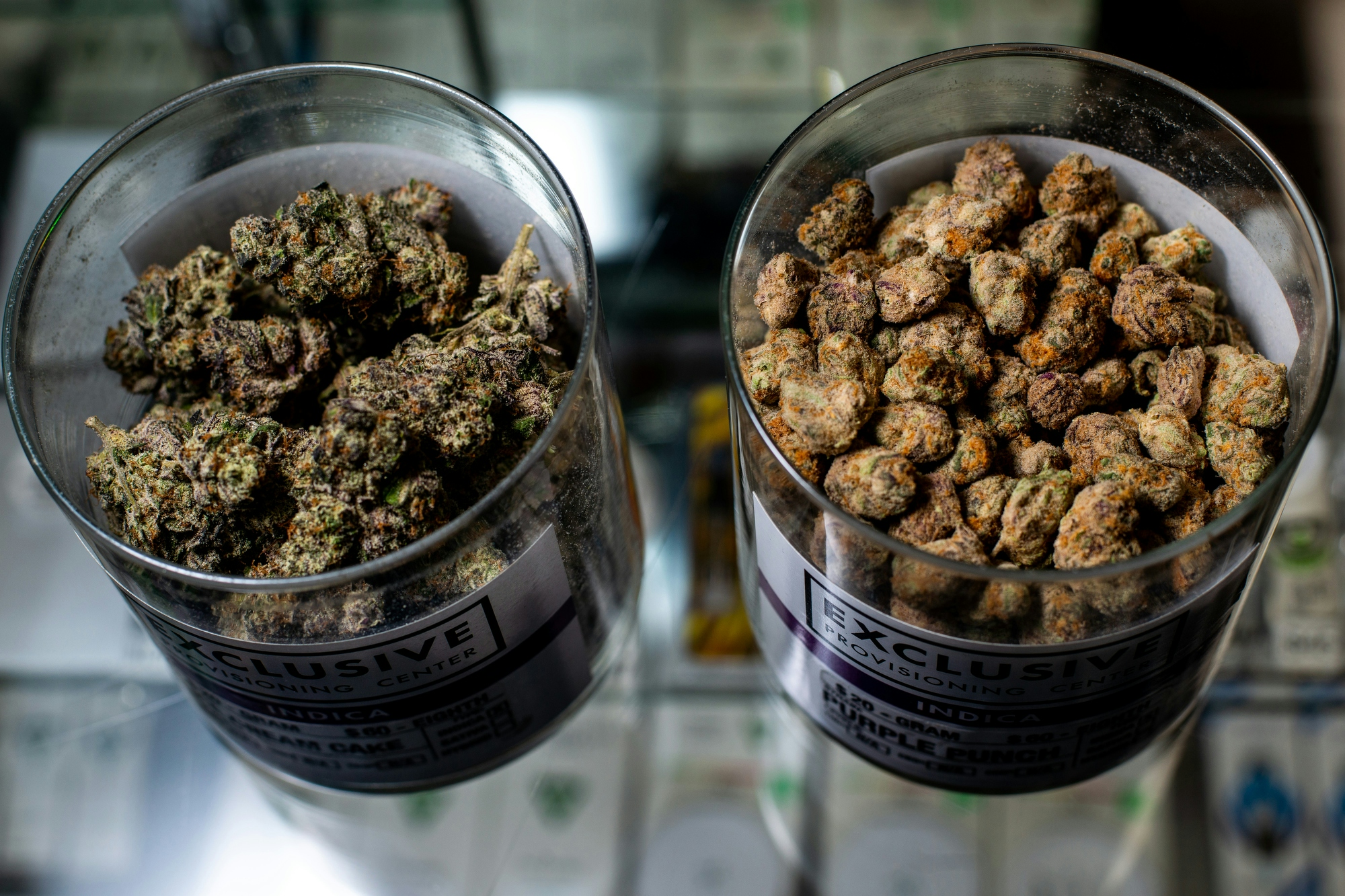 Ann Arbor: The City With The Most Dispensaries In Michigan