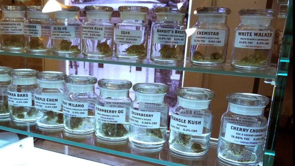 Ann Arbor: The City With The Most Dispensaries In Michigan