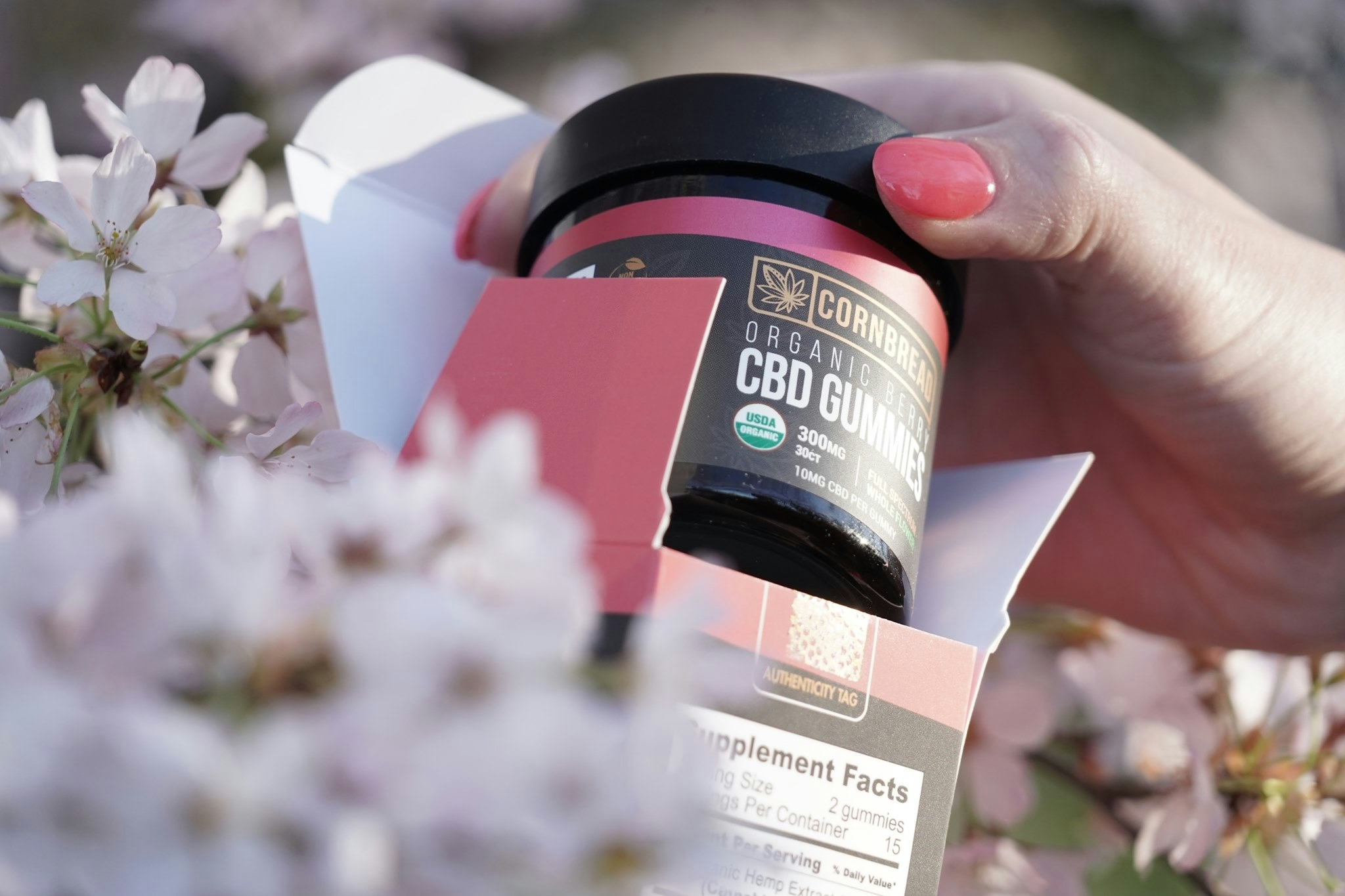 Organic CBD Gummies: Why They’re Better Than Regular Gummies