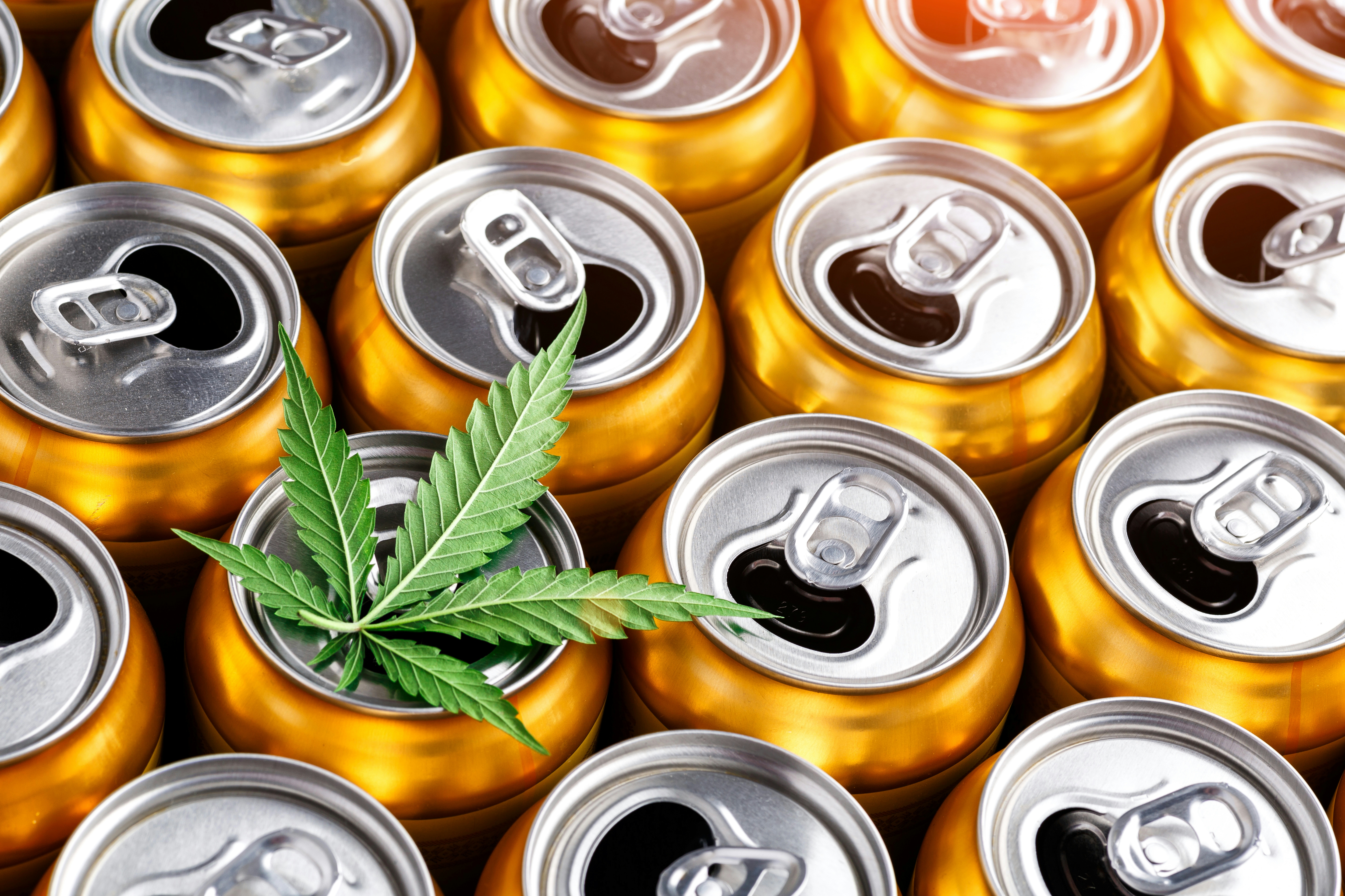 THC Drinks in North Carolina: Are They Legal, Where to Buy Them, and What’s Changing (2026)
