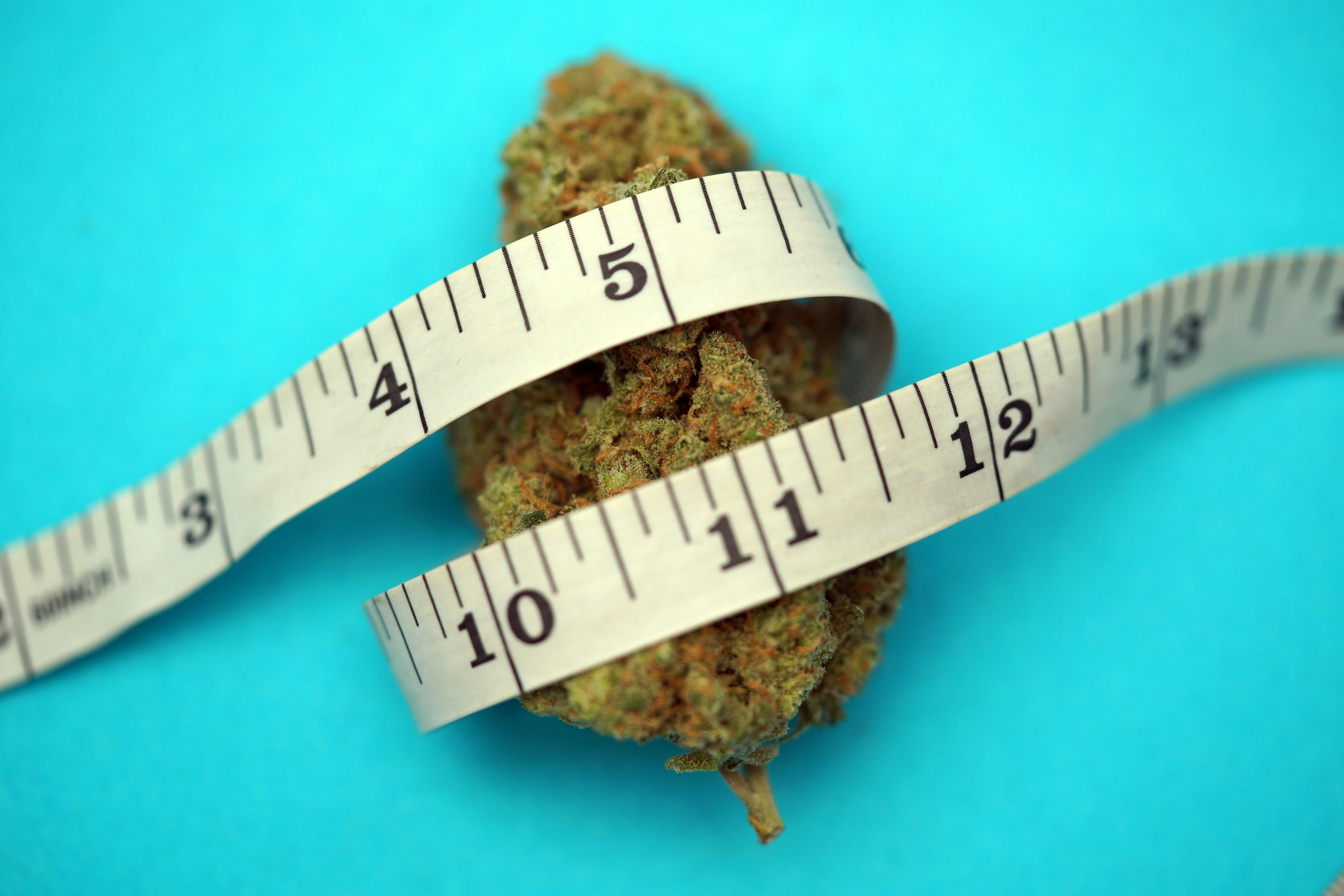 Strains With Highest THCV: 10 Strains To Check Out