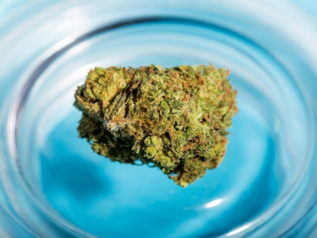 What’s In Your Weed?