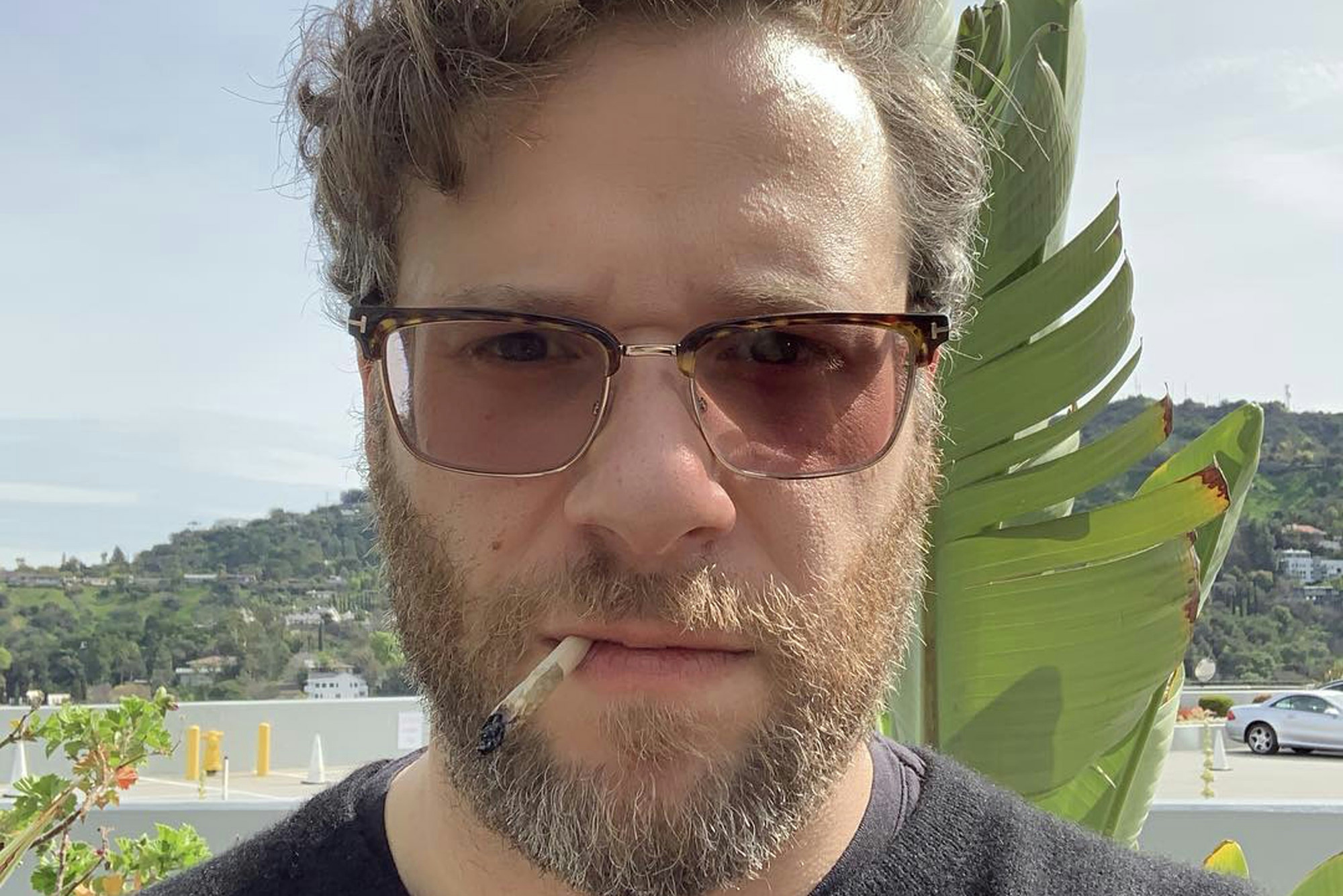 Seth Rogen And Sarah Silverman Are Fighting For Federal Legalization
