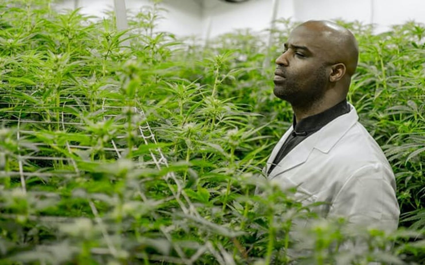 Ricky Williams Explains Why He Launched His Cannabis Brand