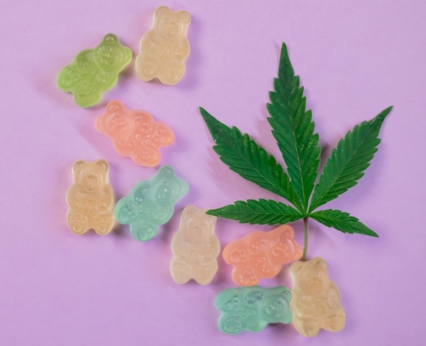 Ten Stoner Quotes We Love