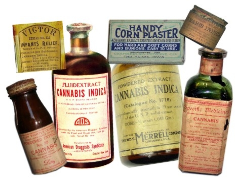 Meet The Irish Doctor Who First Brought Medical Marijuana To The West