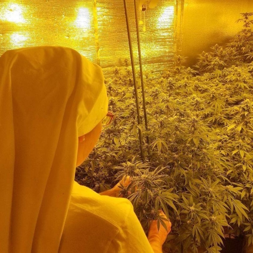 Sisters Of The Valley Hold The First Topical CBD Salve-Making Class