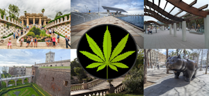 Is This The End Of Cannabis In Barcelona?