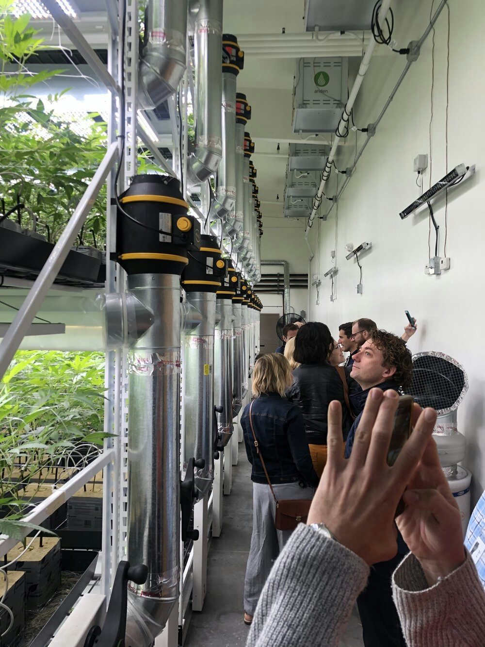 The Original Sonoma Wine And Weed Tours