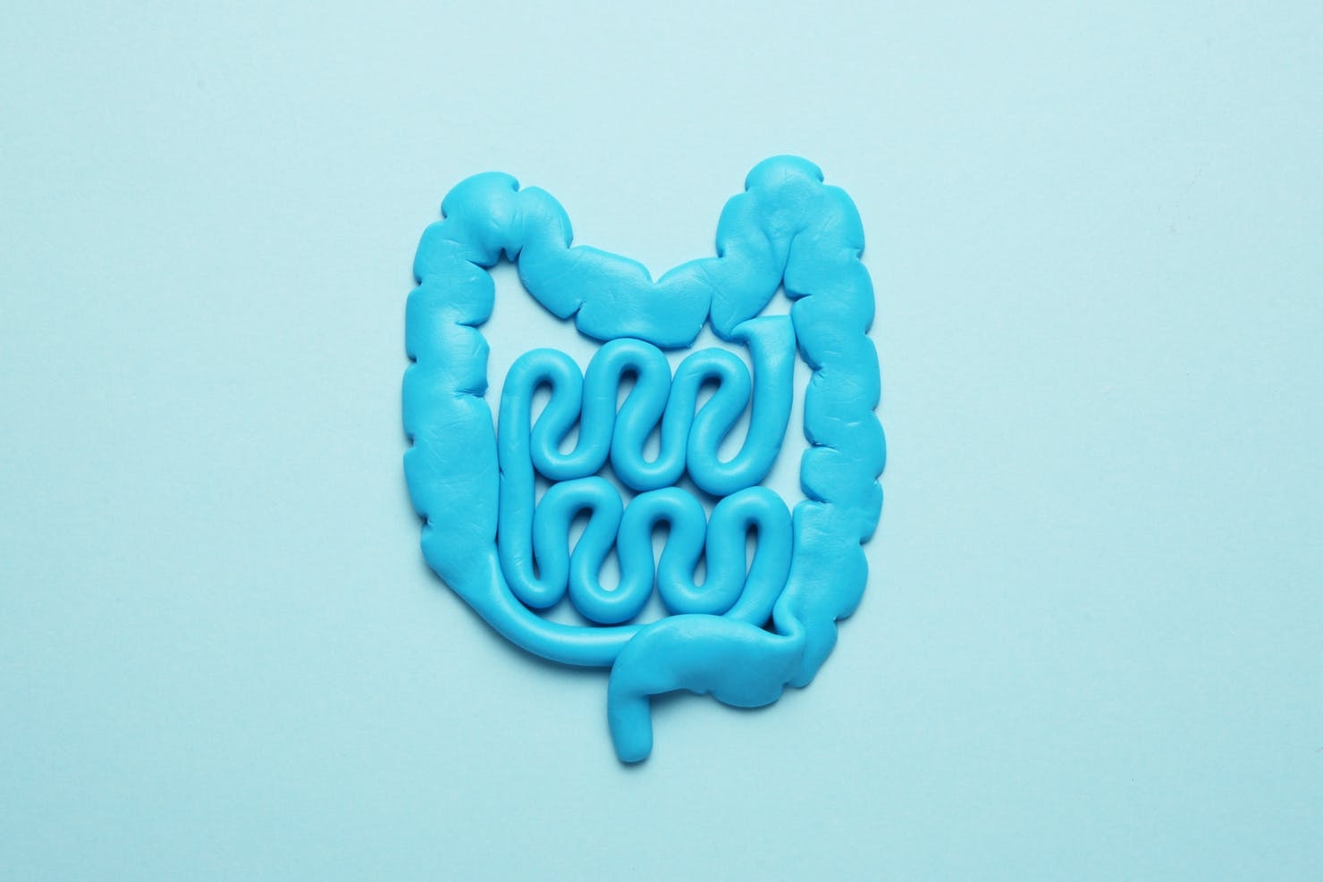 Does Cannabis Promote A Healthy Gut Microbiome?