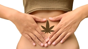 Does Cannabis Promote A Healthy Gut Microbiome?