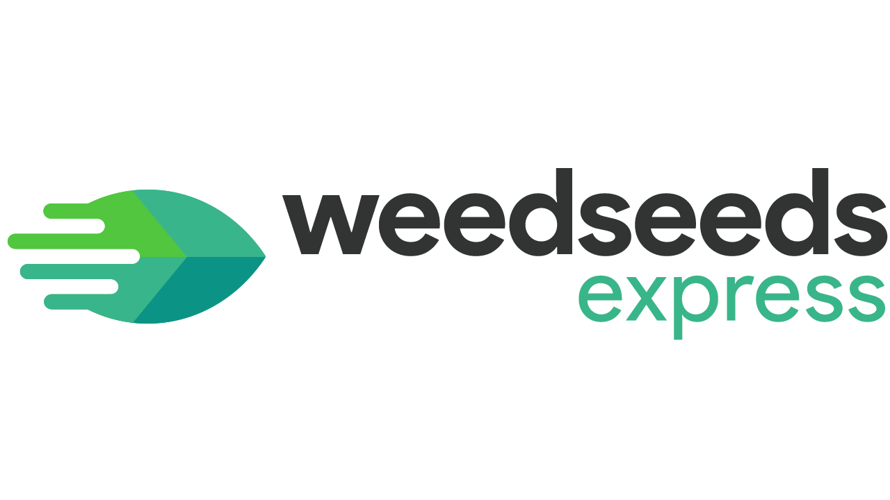 Our Favorite Products This Fall