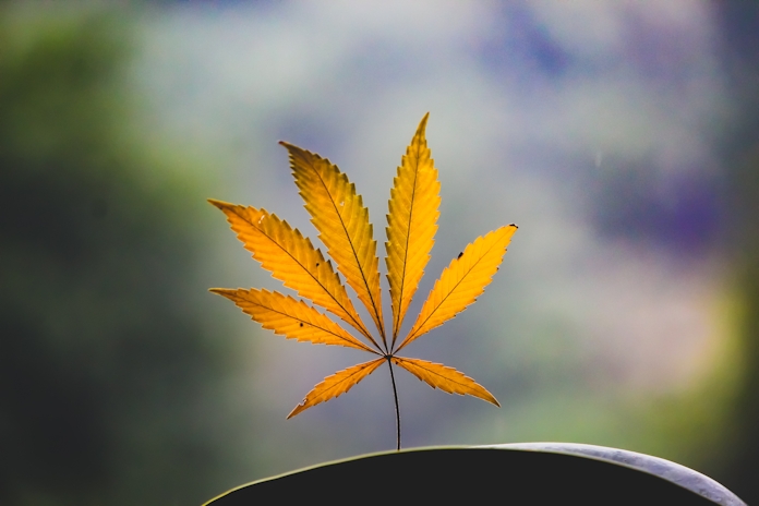 Our Favorite Products This Fall