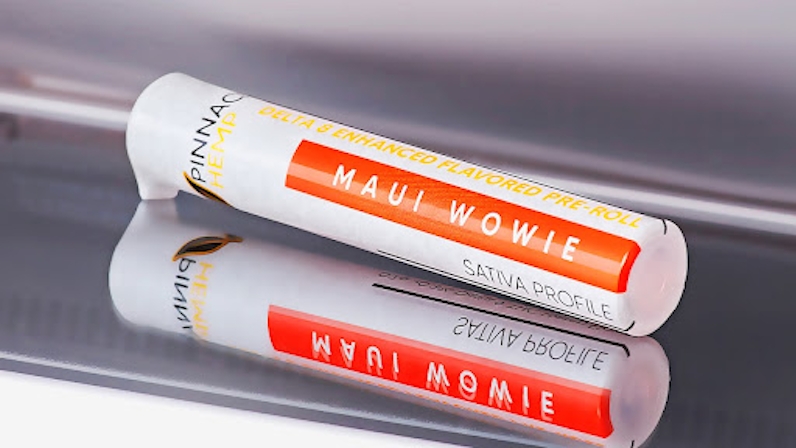 Our Favorite Products This Fall