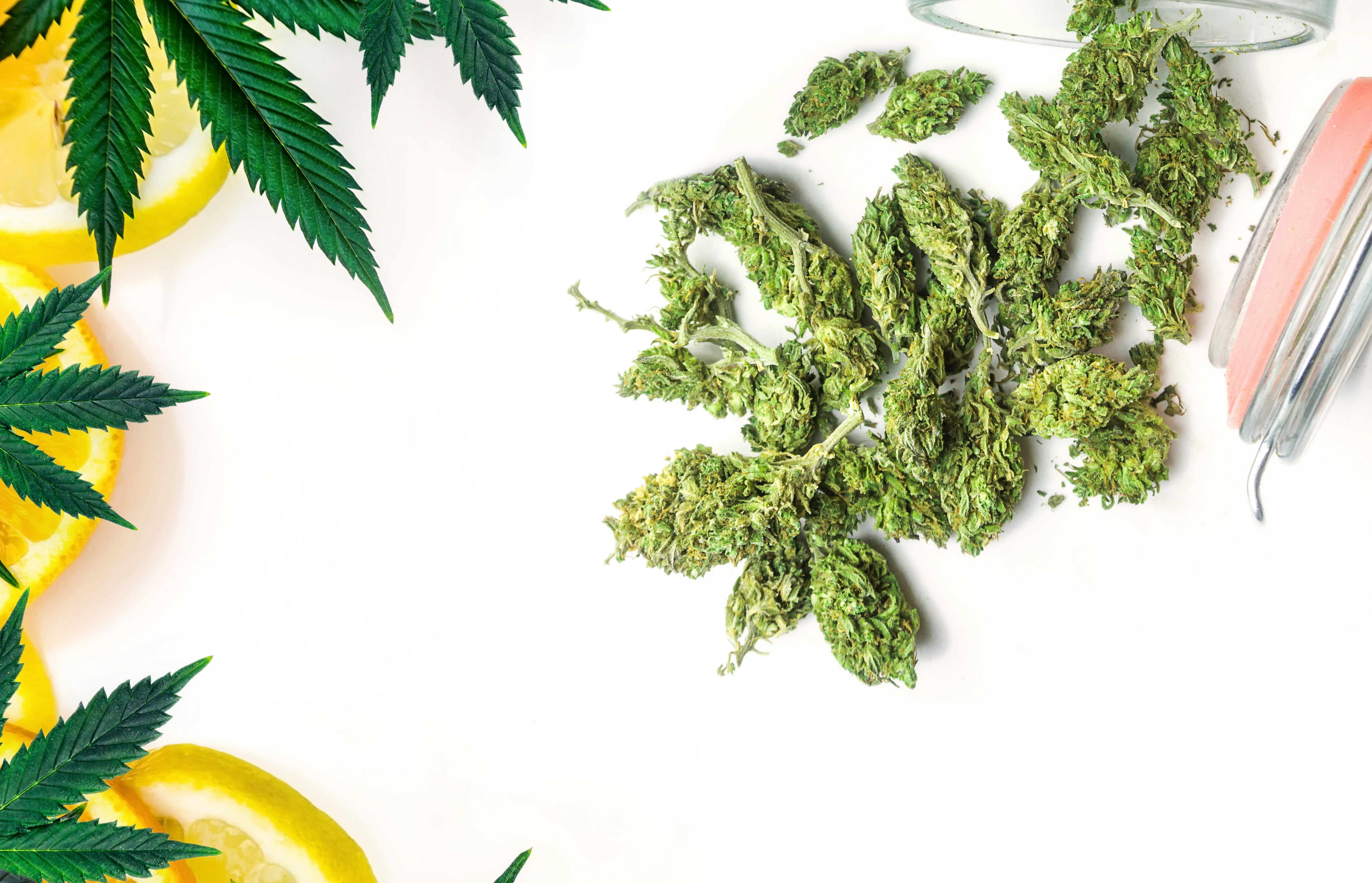 Humulene: Everything You Have To Know About The Hoppy Terpene