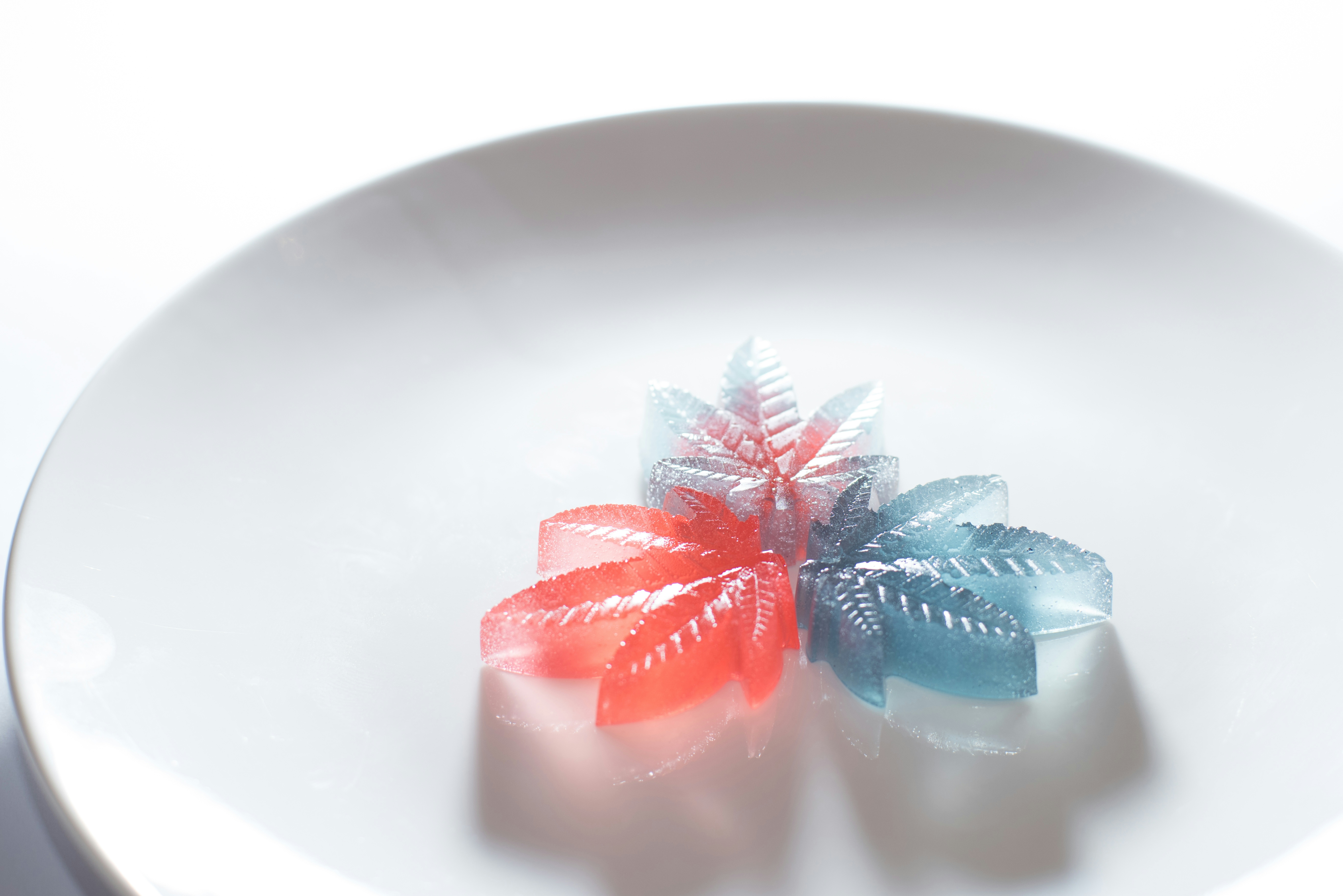 The Best Delta 9 Gummies To Buy Online