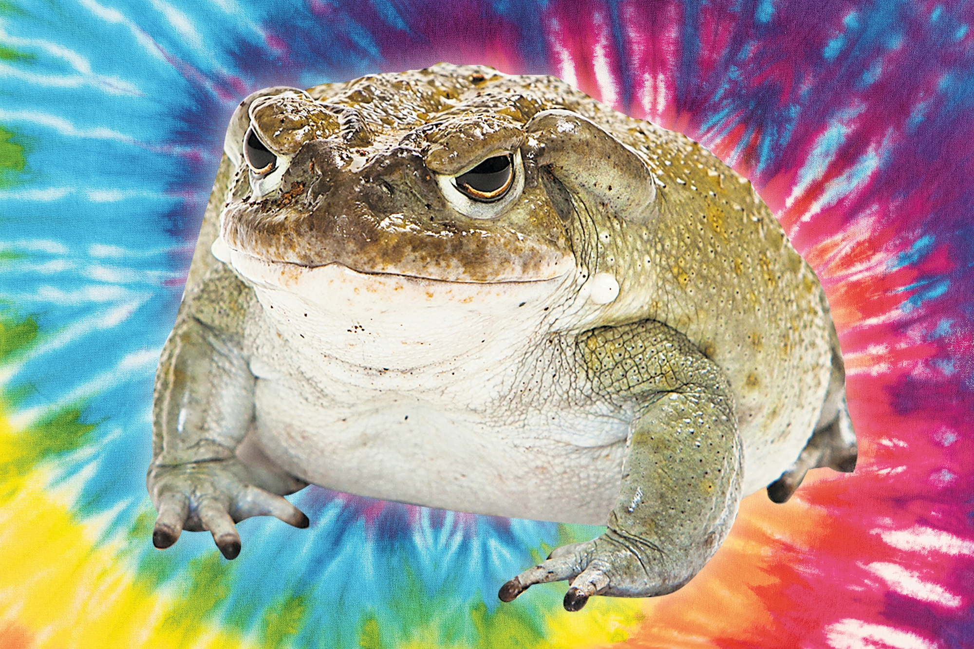 Mike Tyson’s Ego “Died” Using Psychedelic Toad Venom