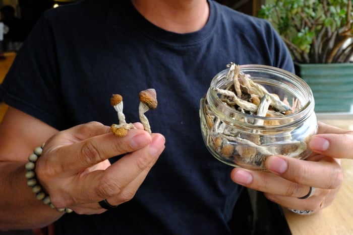 Magic Mushrooms Are Now Decriminalized In Detroit