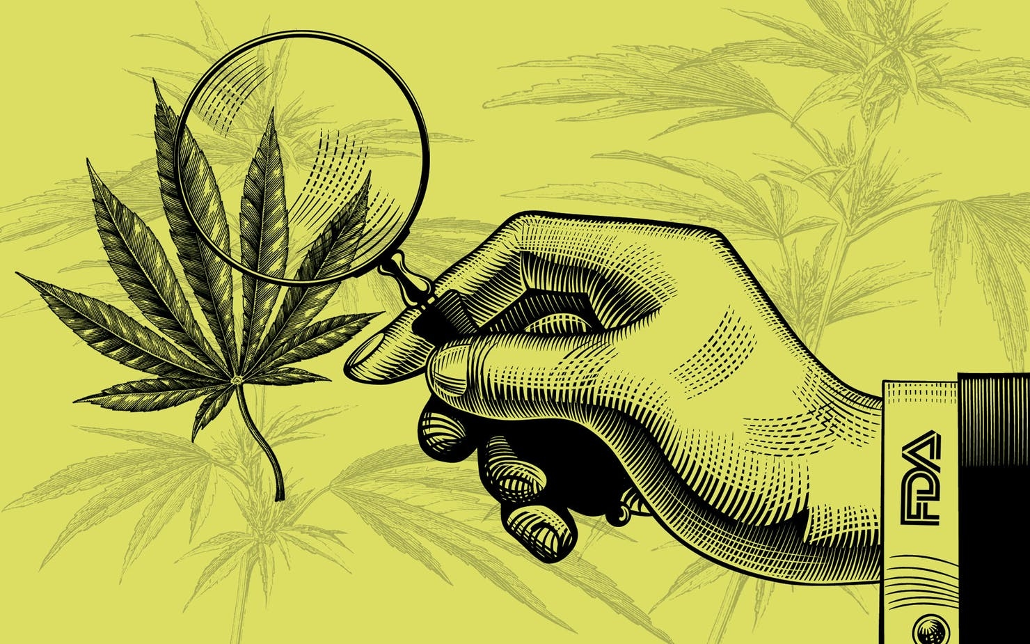 The FDA Finally Acknowledges Marijuana’s Medical Properties