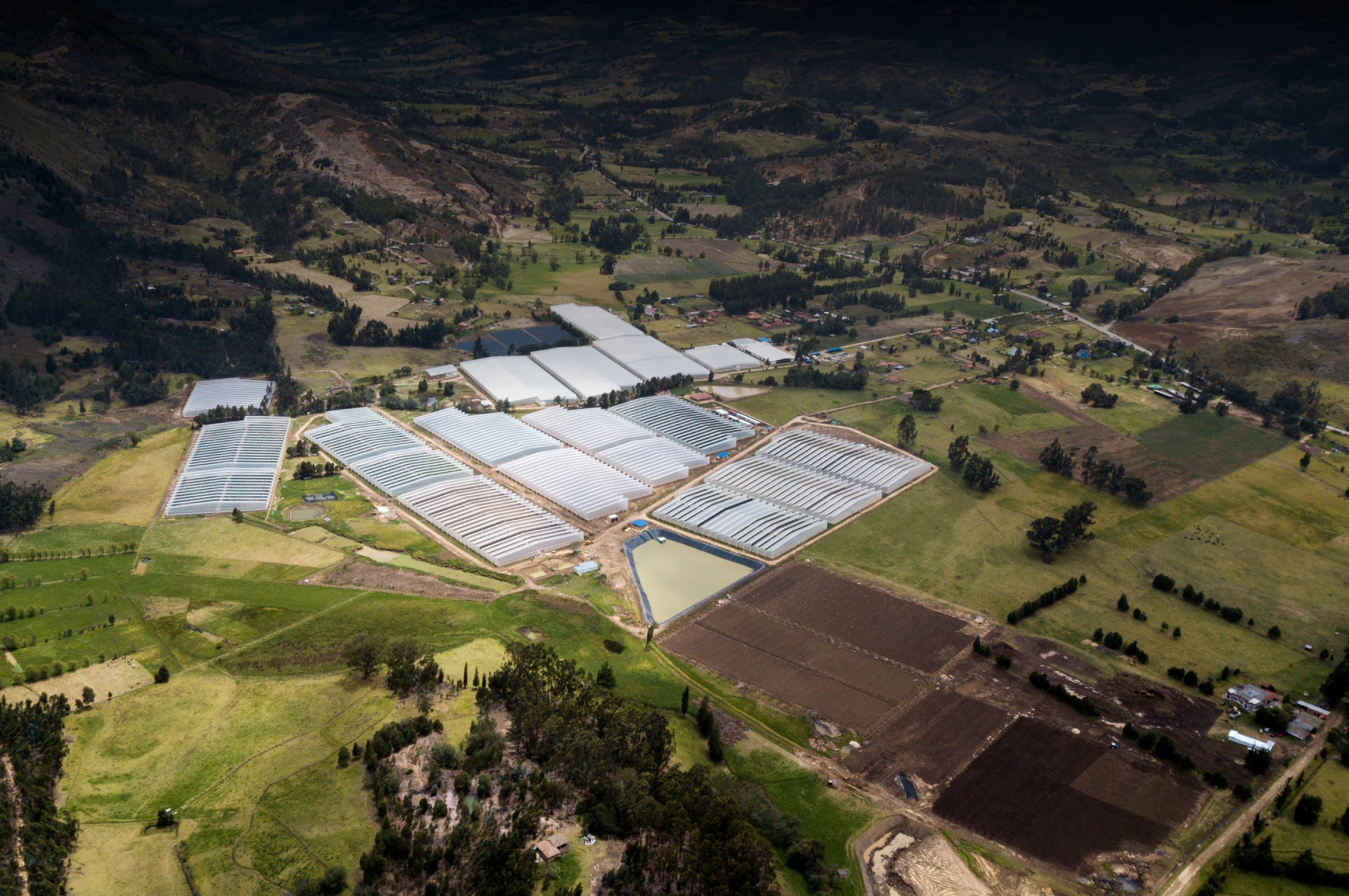 Final Frontier: Europe’s Cannabis Industry Is Expected To Grow 400%