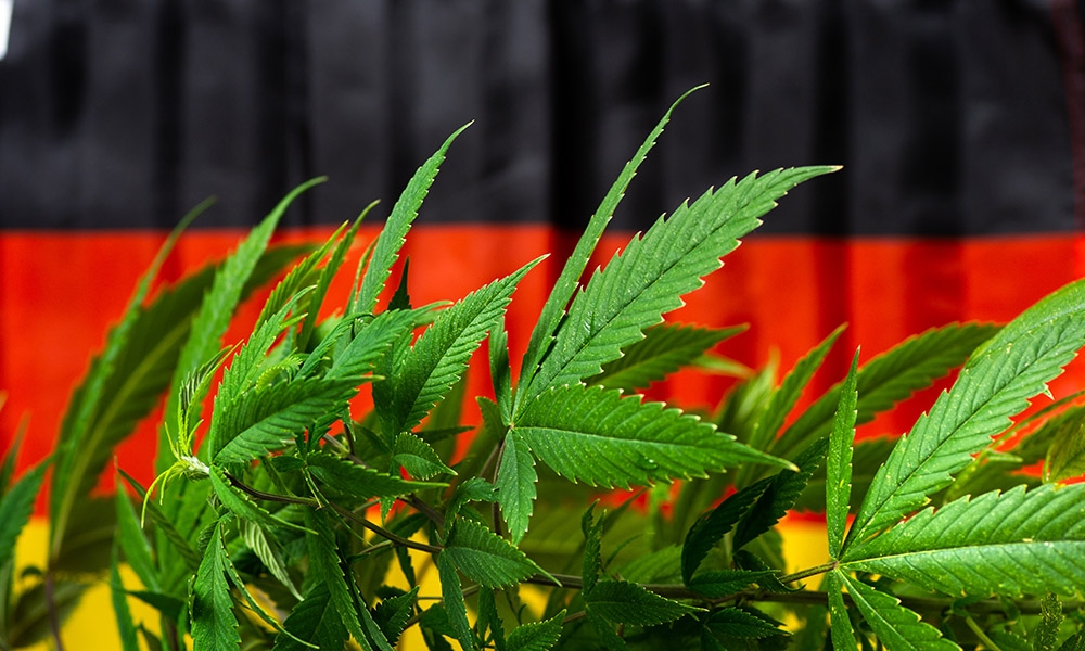 Germany’s Incoming Government Will Allow The Sale Of Recreational Cannabis
