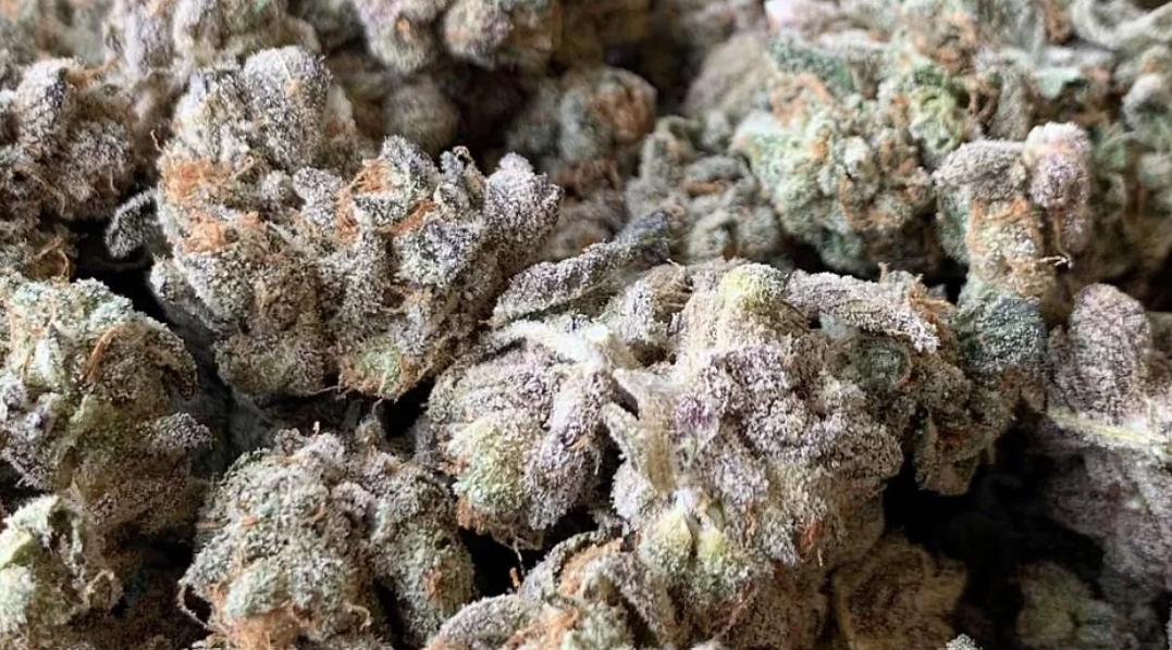 The Full Guide To The Best White Weed Strains Out There