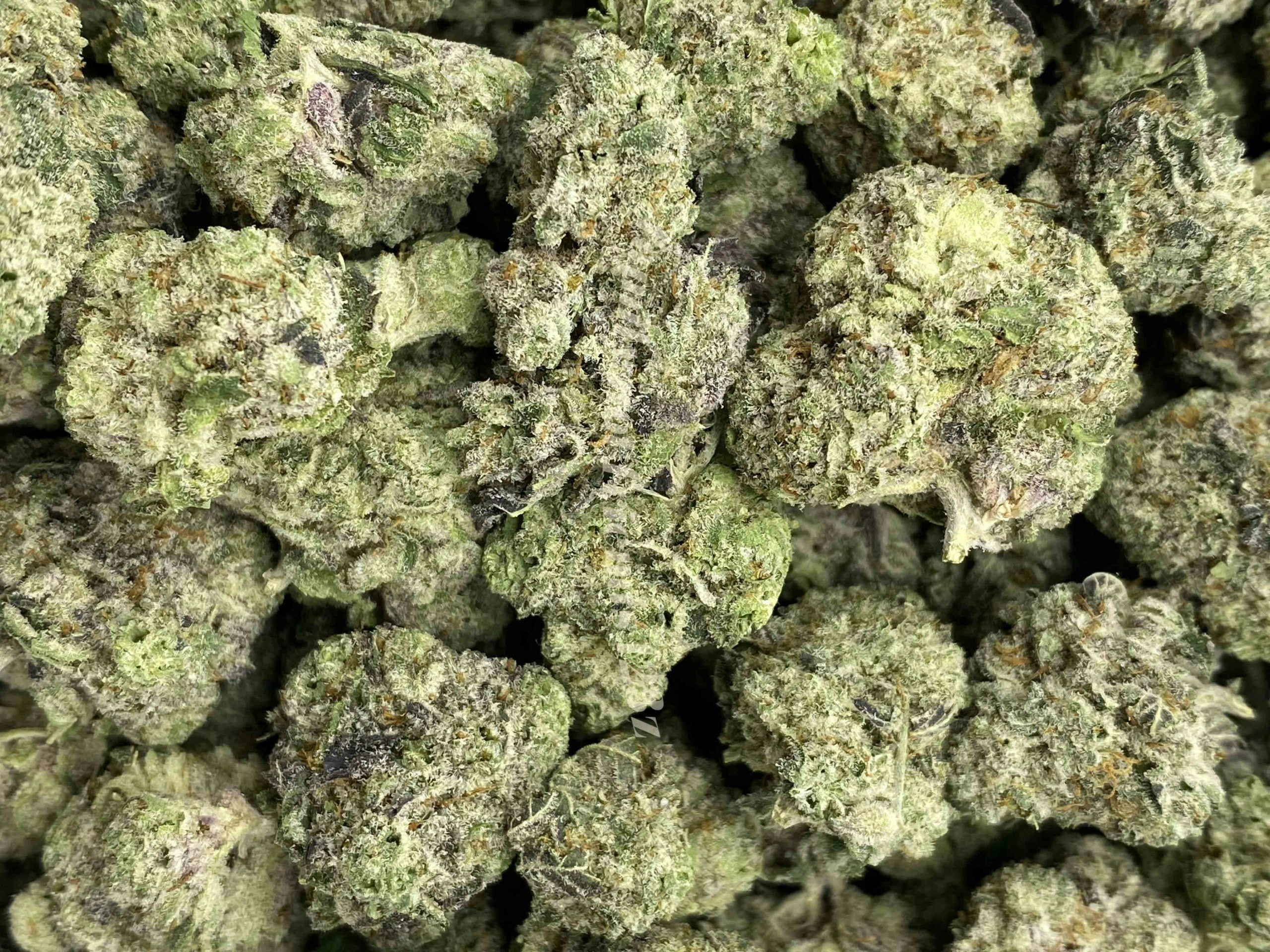 The Full Guide To The Best White Weed Strains Out There