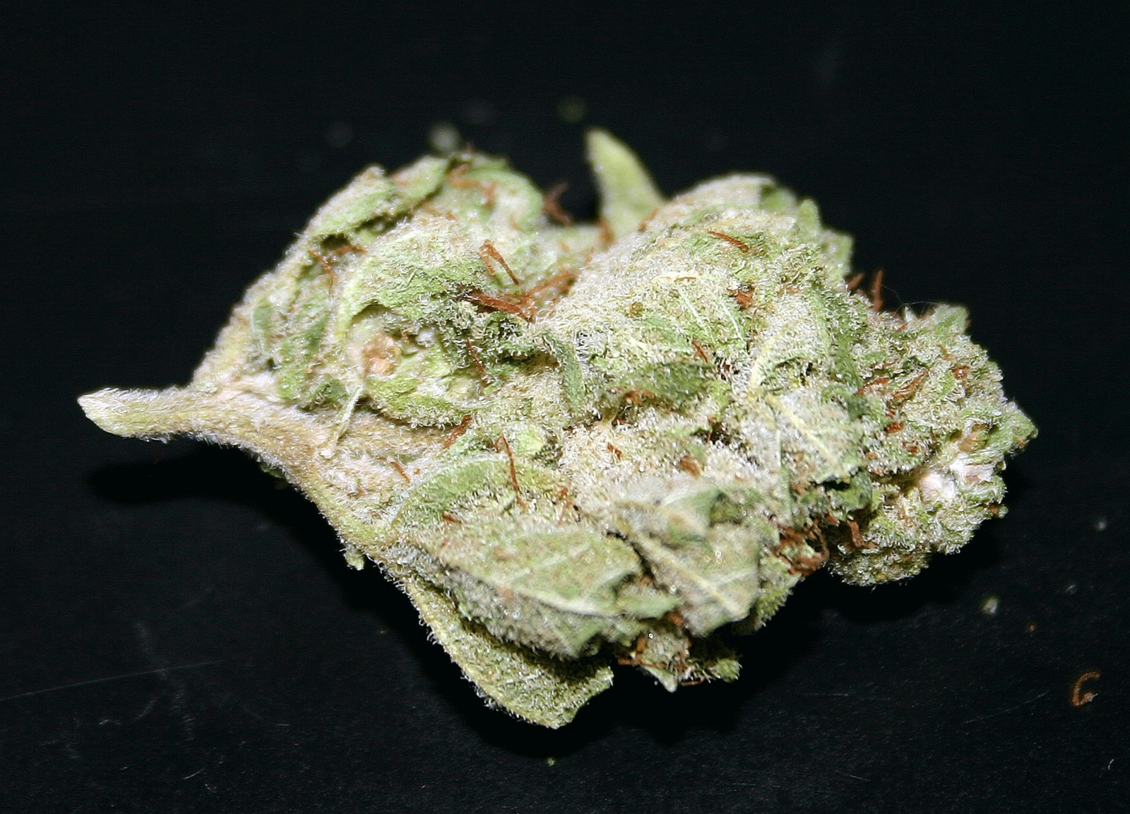 The Full Guide To The Best White Weed Strains Out There