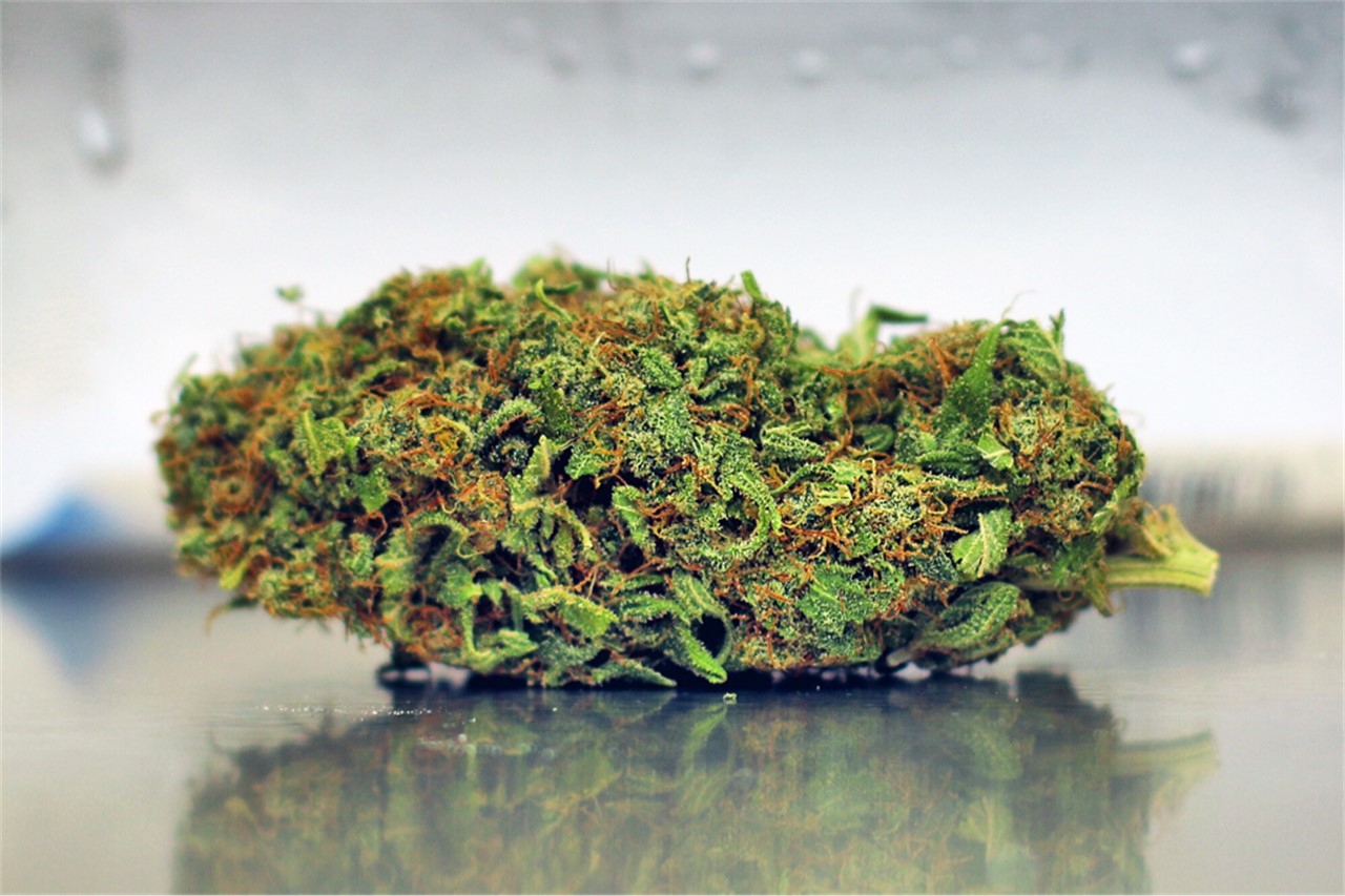 The Full Guide To The Best White Weed Strains Out There