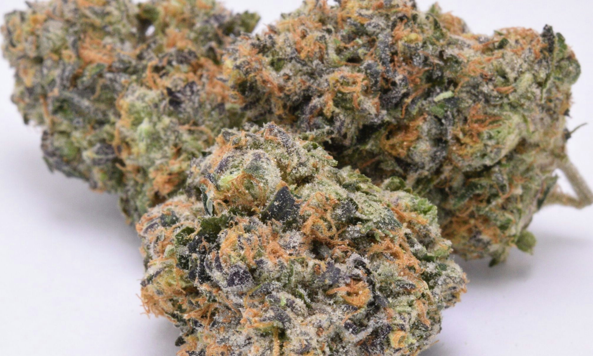 The Full Guide To The Best White Weed Strains Out There