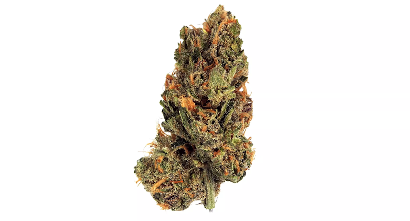 The Full Guide To The Best White Weed Strains Out There
