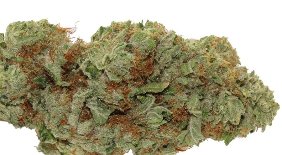 The Full Guide To The Best White Weed Strains Out There
