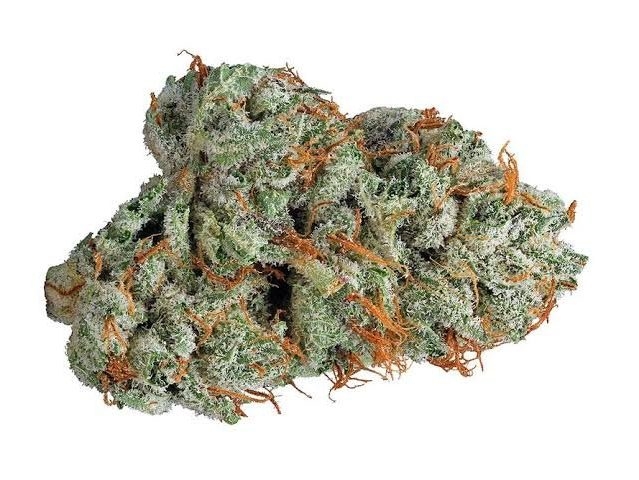 The Full Guide To The Best White Weed Strains Out There