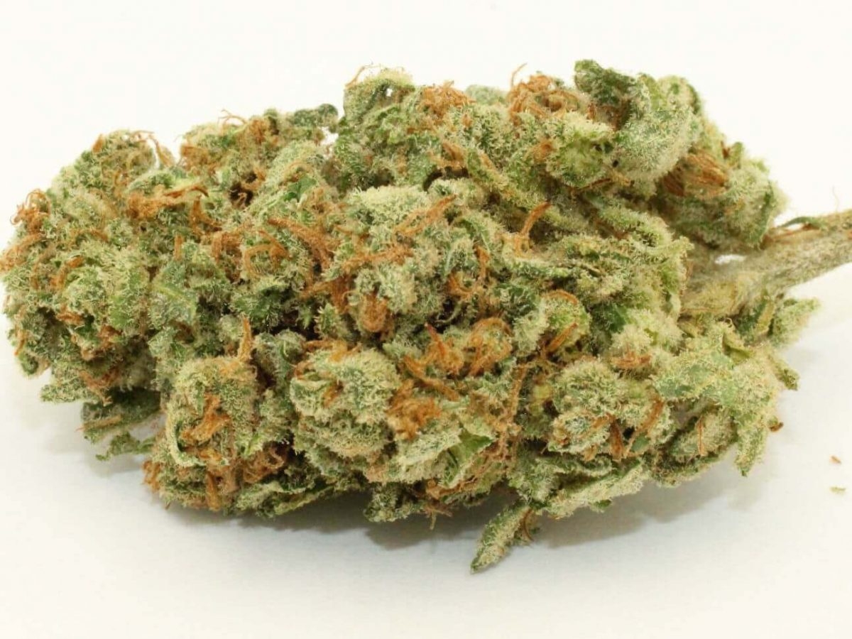 The Full Guide To The Best White Weed Strains Out There