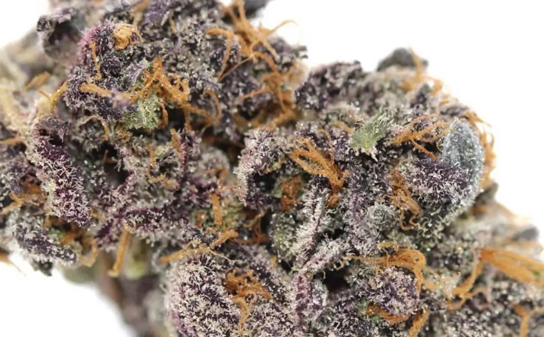 The Full Guide To The Best White Weed Strains Out There