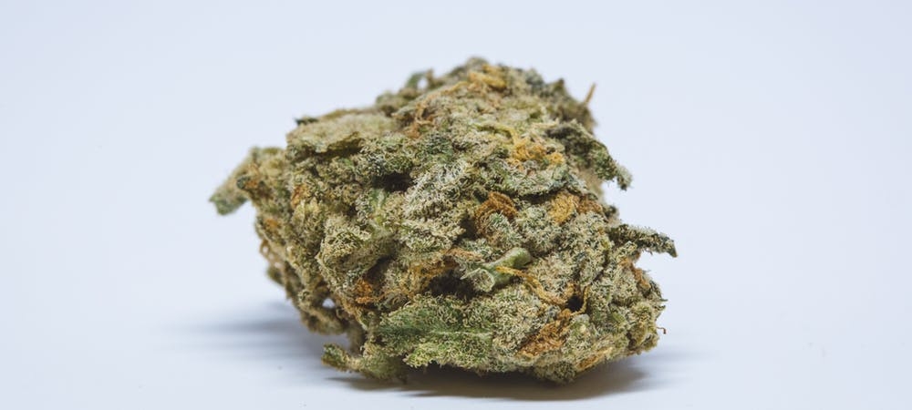 The Full Guide To The Best White Weed Strains Out There