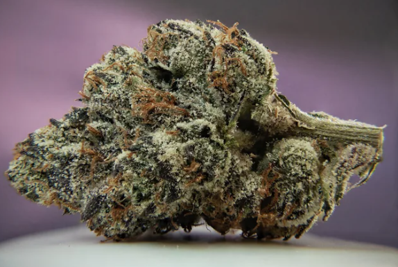 The Full Guide To The Best White Weed Strains Out There