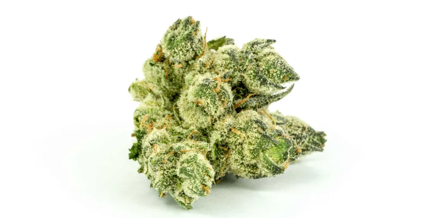 The Full Guide To The Best White Weed Strains Out There