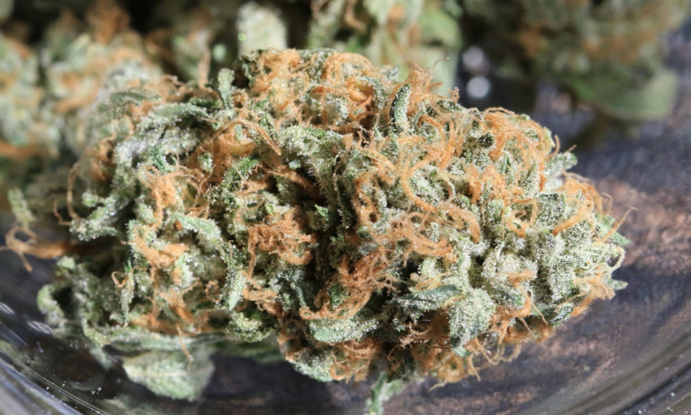 The Full Guide To The Best White Weed Strains Out There