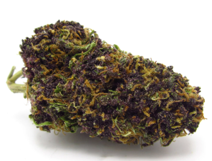 The Full Guide To The Best White Weed Strains Out There