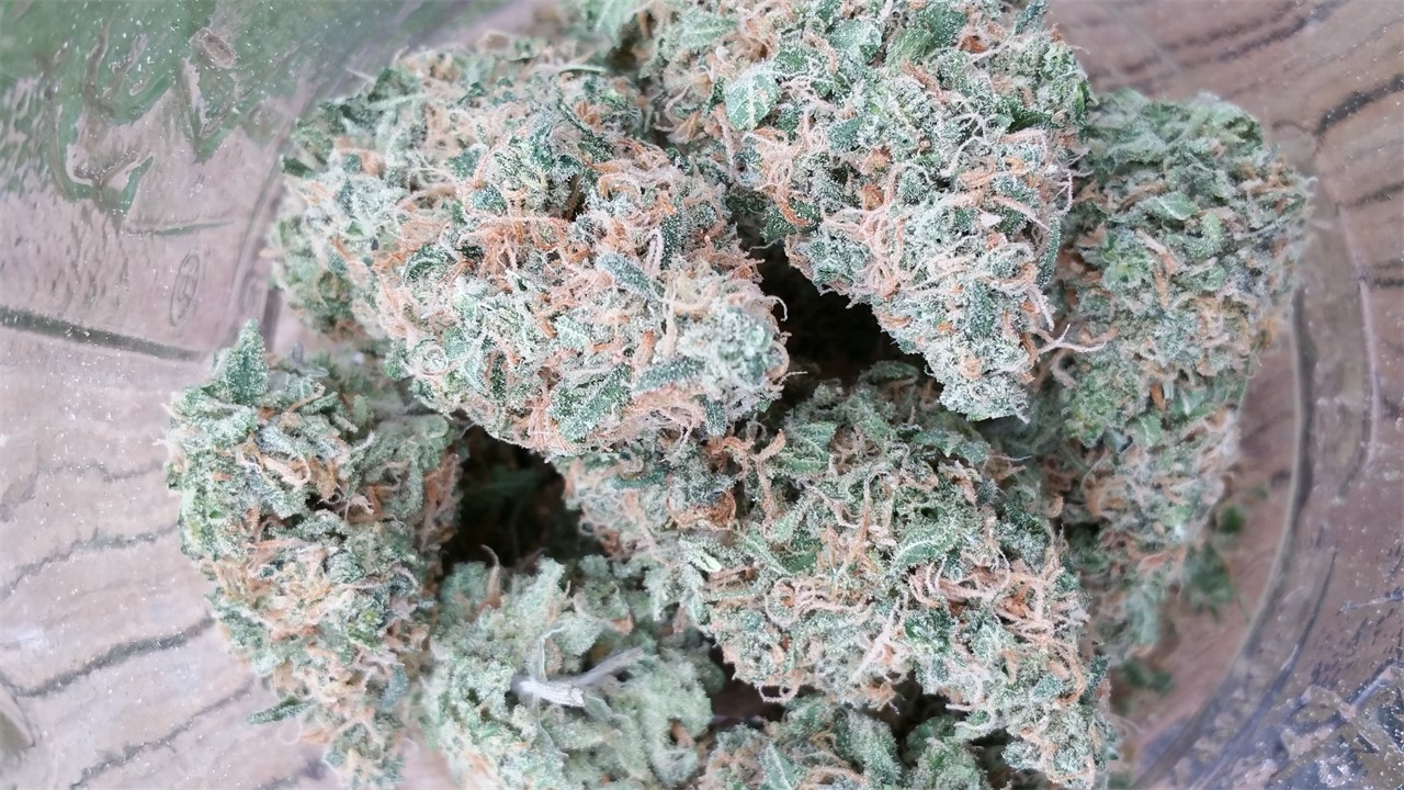 The Full Guide To The Best White Weed Strains Out There