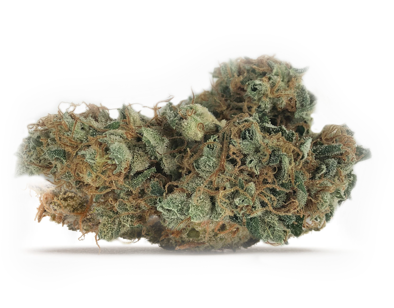 The Full Guide To The Best White Weed Strains Out There