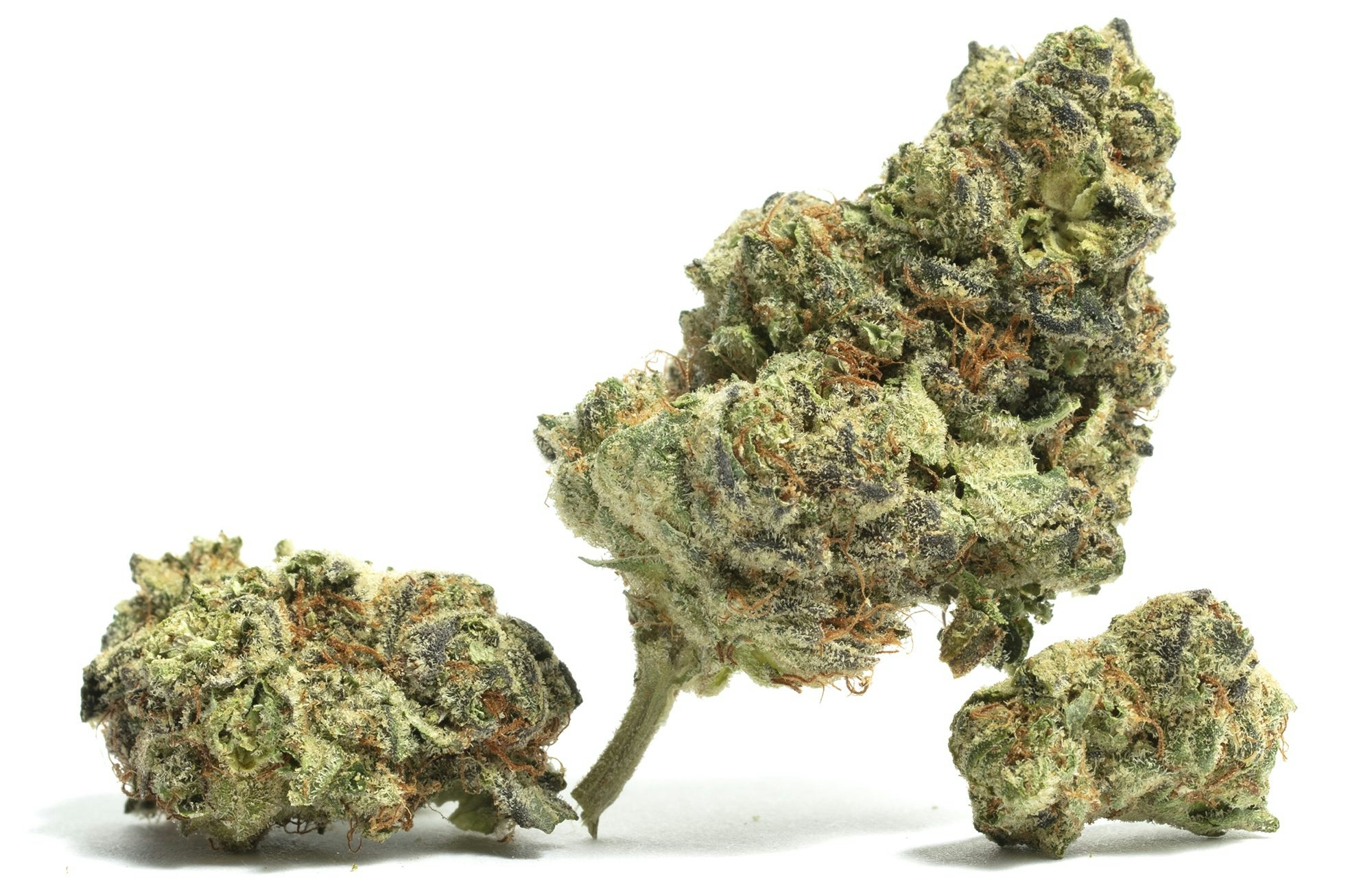 The Full Guide To The Best White Weed Strains Out There