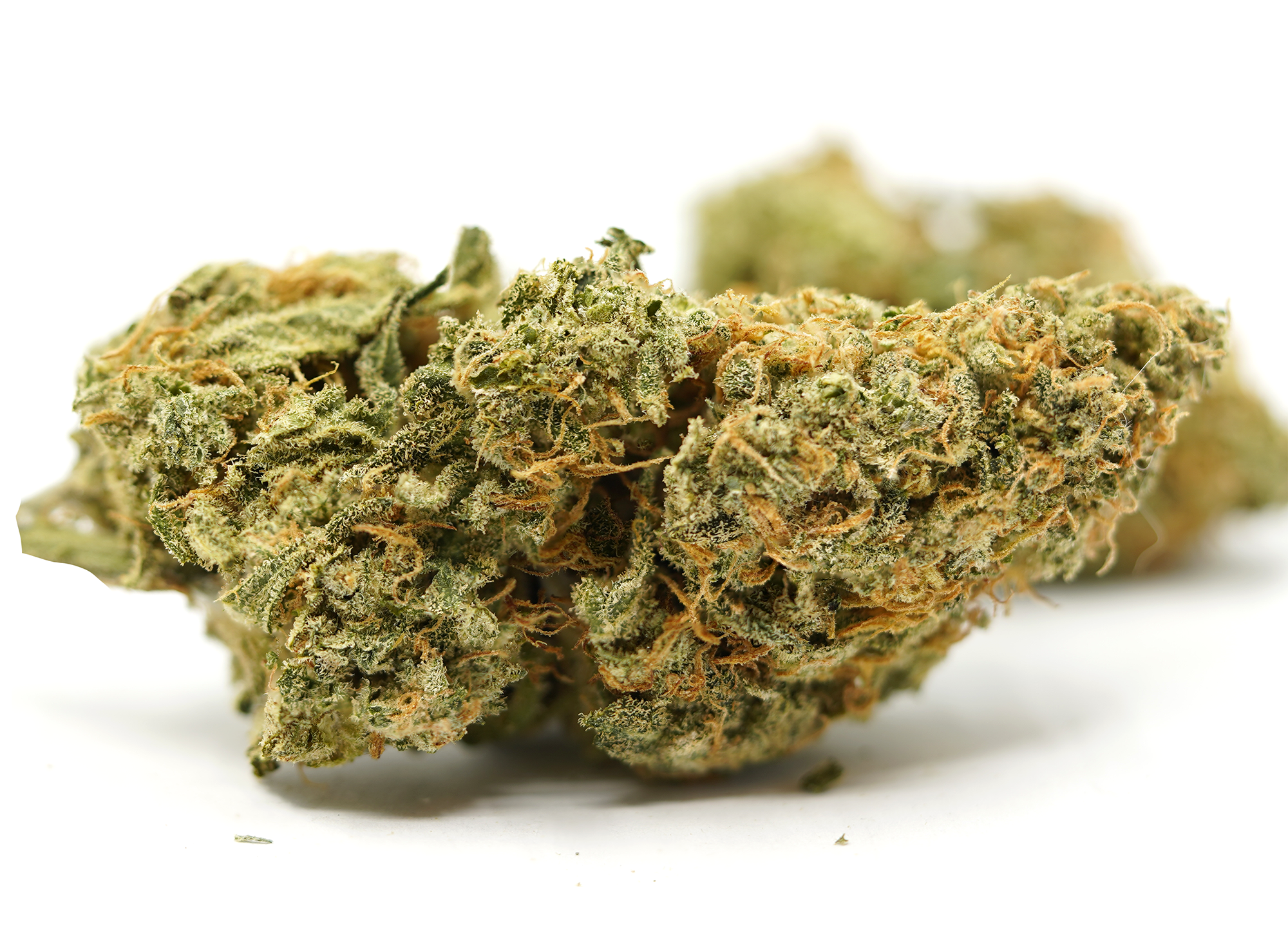 The Full Guide To The Best White Weed Strains Out There