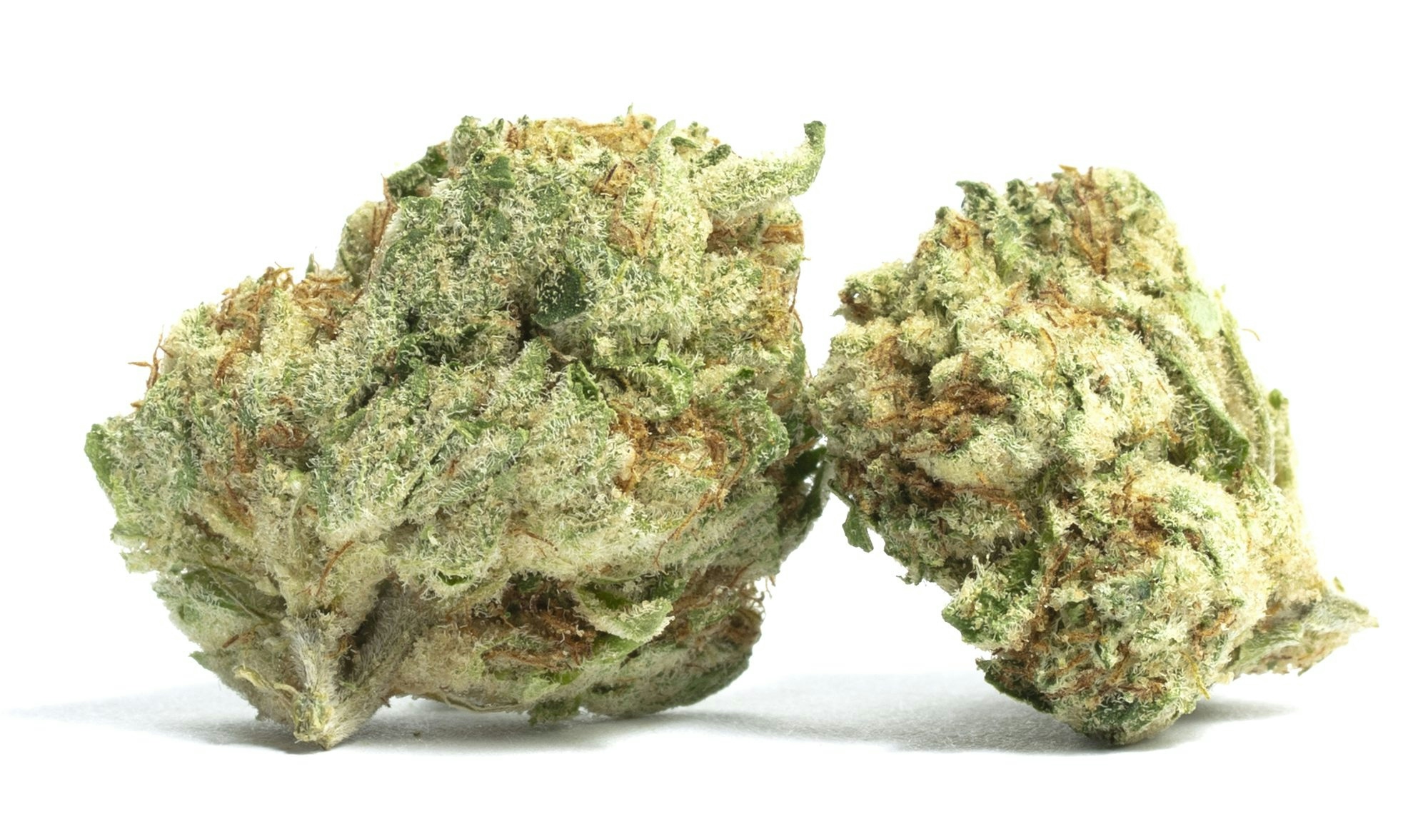 The Full Guide To The Best White Weed Strains Out There
